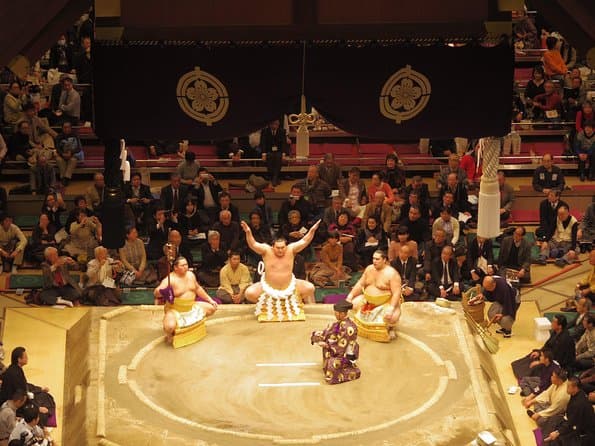 Tokyo Sumo Wrestling Tournament Experience