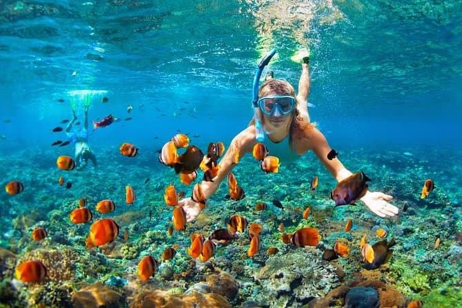 Paradise Island Snorkeling