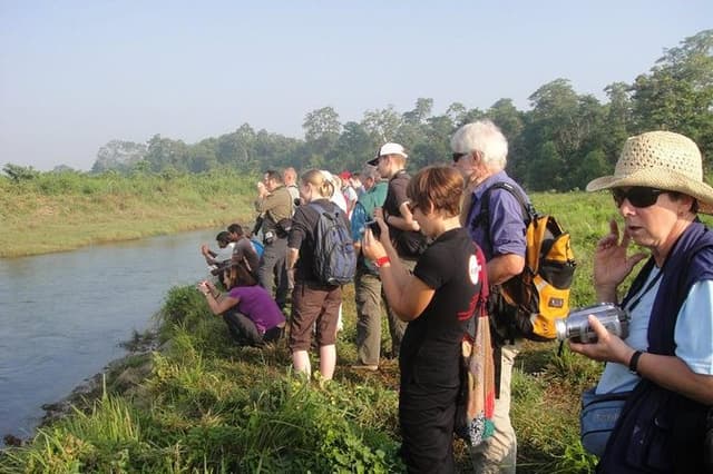 Full Day Jungle Safari Tours in Chitwan National Park Nepal