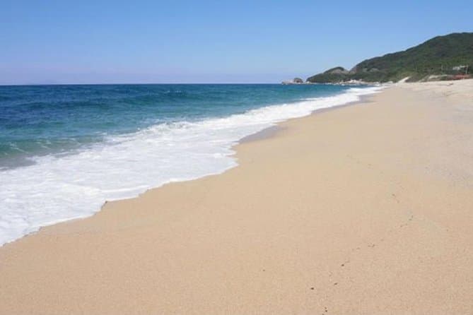 Yakushima Trekking & Nature Tours | Kagoshima