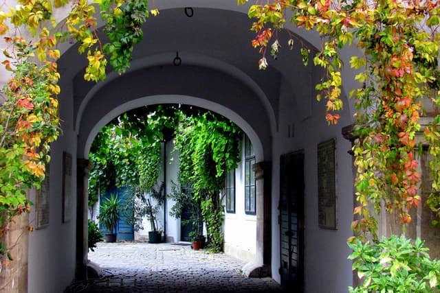 Hidden Gems in Vienna a Private Inner City Walk