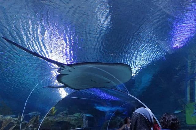 Private Tour: Kuala Lumpur City Highlights And Batu Cave Day Tour