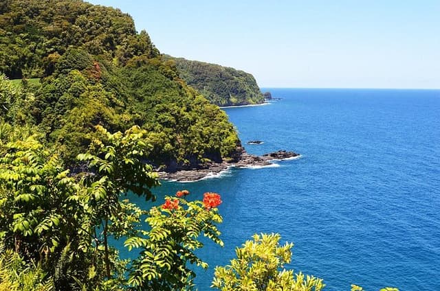 Small-Group Road to Hana Luxury Tour