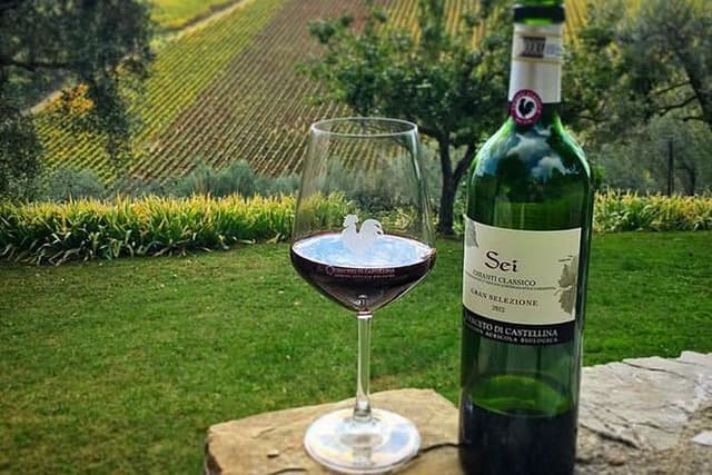 Siena and Chianti Wineries Excursion by Private Luxury Van from Florence
