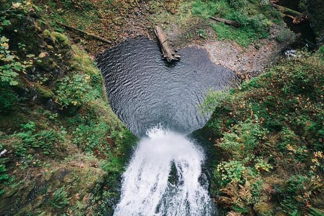 Afternoon Half-Day Multnomah Falls and Columbia River Gorge Waterfalls Tour from Portland