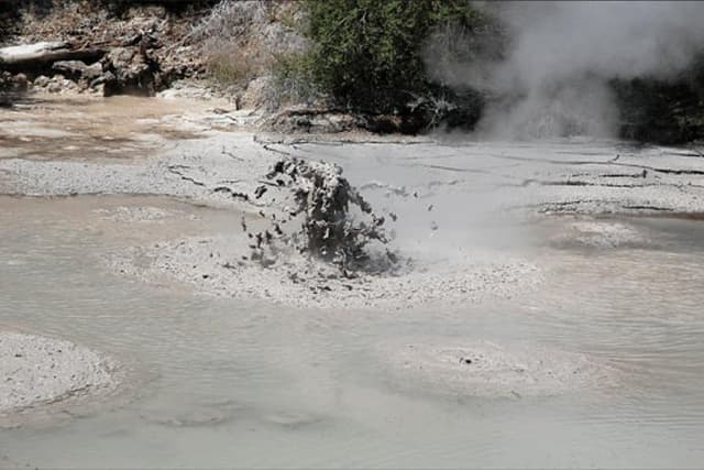 Boutique tour , Mt Maunganui, NZ farm, Rotorua lakes/geothermal