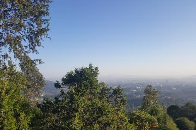 Addis Ababa City Tours: Compare & Book Now