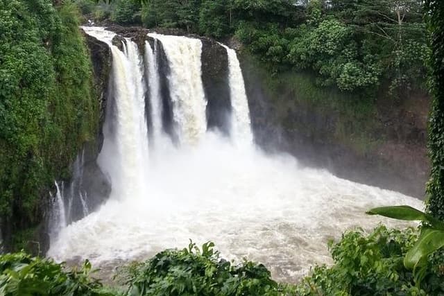 Hilo Highlights: Waterfall & Local Secrets on a Short Excursion