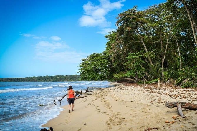 Unforgettable Cahuita National Park Wildlife & Beach Tours