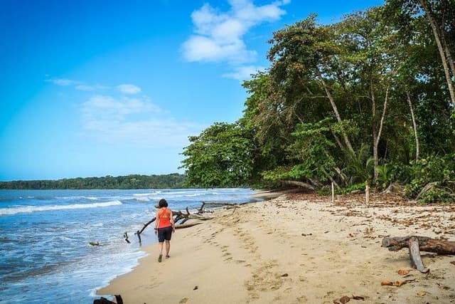 Full-Day Tour to Cahuita National Park from Puerto Limon