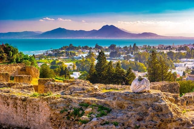Tunis: Carthage, Bardo Museum, Sidi Bou Said & Medina Group Tour