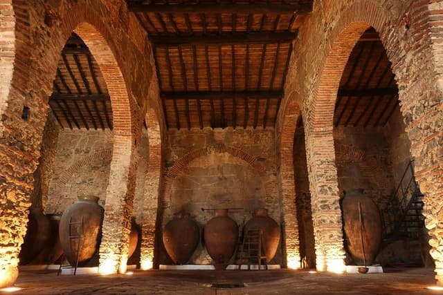 Guided Tour to Adega Museum Cella Vinaria Antiqua