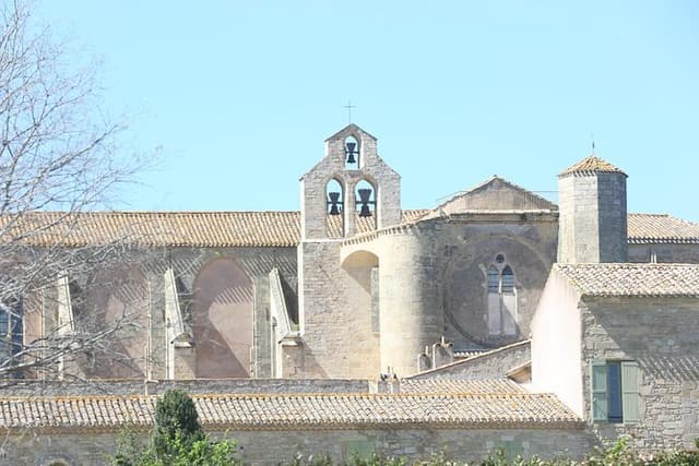 Private tour to Sete, an oyster farm & Wine Tasting