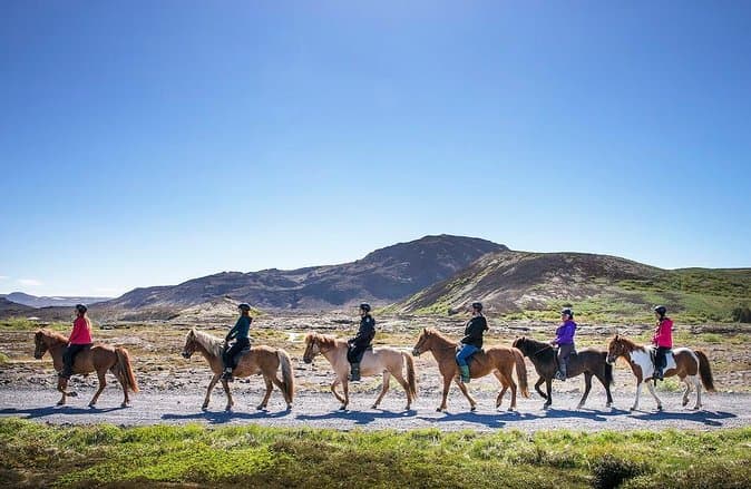 Authentic Icelandic Horseback Riding Adventures in Reykjavik