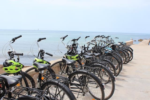 Palma de Mallorca Easy Bike Tour (Small Groups)