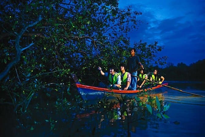 Fireflies Tour in Malaysia