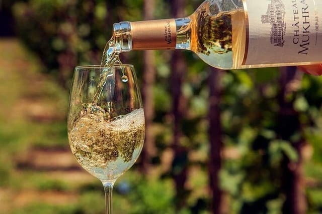 Organic wines of Mtskheta - private tour with lunch and wine tastings