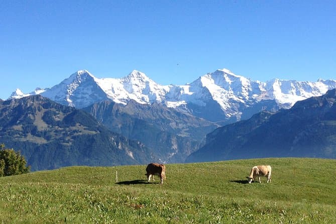 Best Interlaken & Lauterbrunnen Day Trip from Lucerne