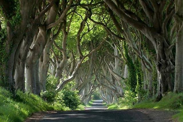 Private Game of Thrones including Giant's Causeway Causeway Coast Rope Bridge