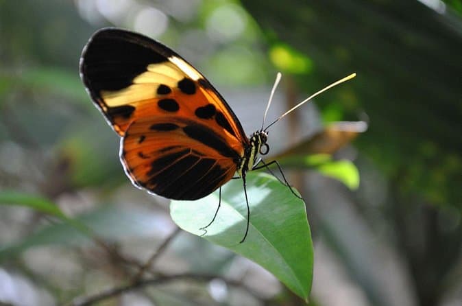 Best Amazon Adventure Tours in Napo Province