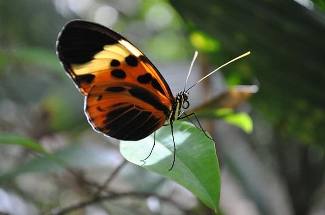 3 or 4-Day All Inclusive Napo Amazon Adventure with Accommodation in Eco Lodge