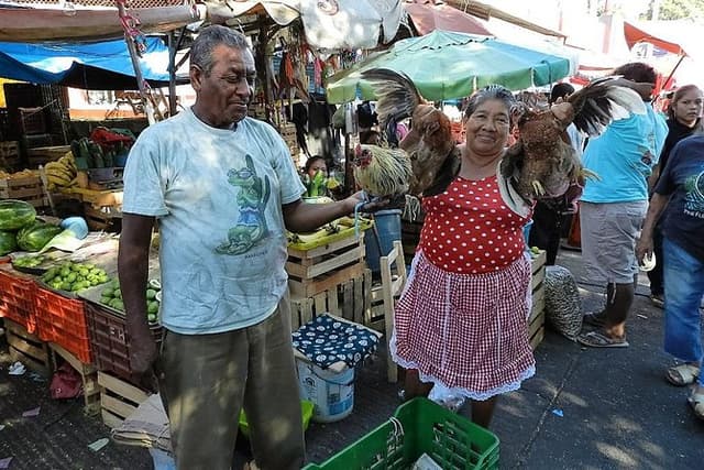 Hidden Acapulco: Off-the-Beaten-Path Immersive with Local Lunch