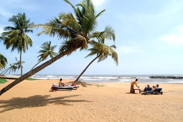 Shore Excursion from Colombo port to Negombo Beach & back for 1 to 2 People
