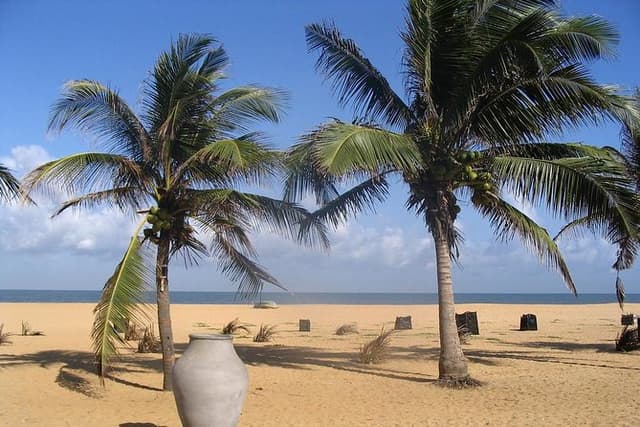 Shore Excursion from Colombo port to Negombo Beach & back for 7 to12 People