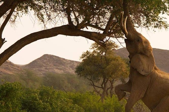 Chobe Wildlife Safari & Victoria Falls Experience