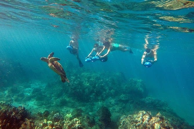 Wailea Beach Sea Scooter Snorkeling: Maui's Best Adventure