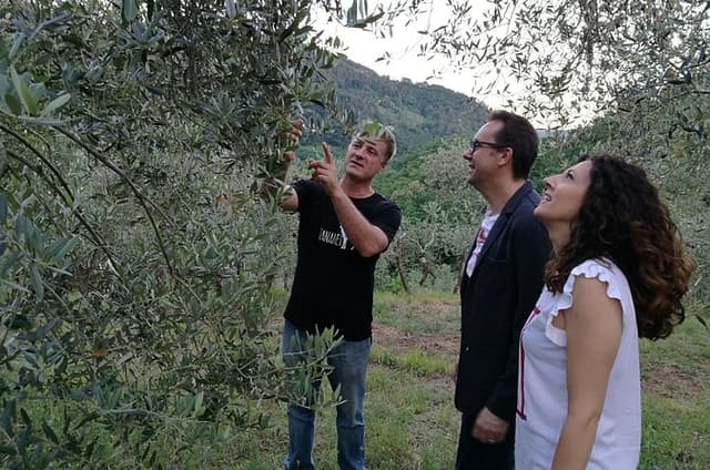 Olive Oil tour with Tuscan dinner