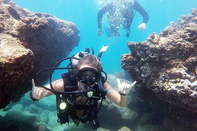 Compare Top-Rated Scuba Diving Adventures in Honolulu