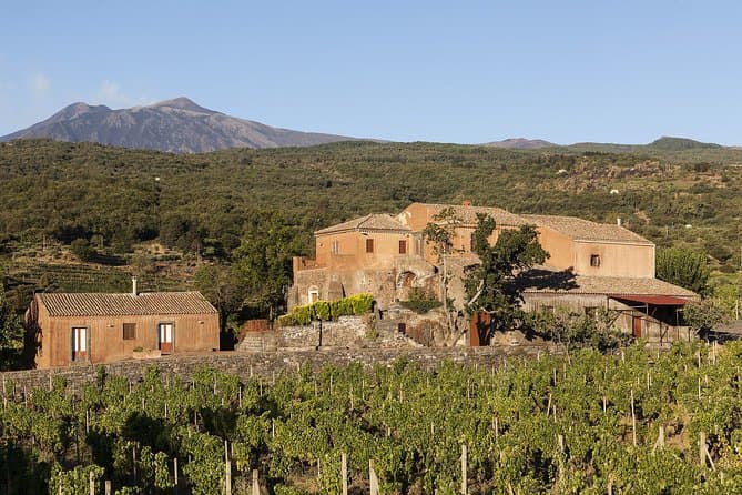 Compare Top Etna Wine Tours in Taormina