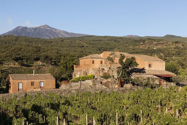 Private 6-Hour Tour of Three Etna Wineries with food&wine tasting