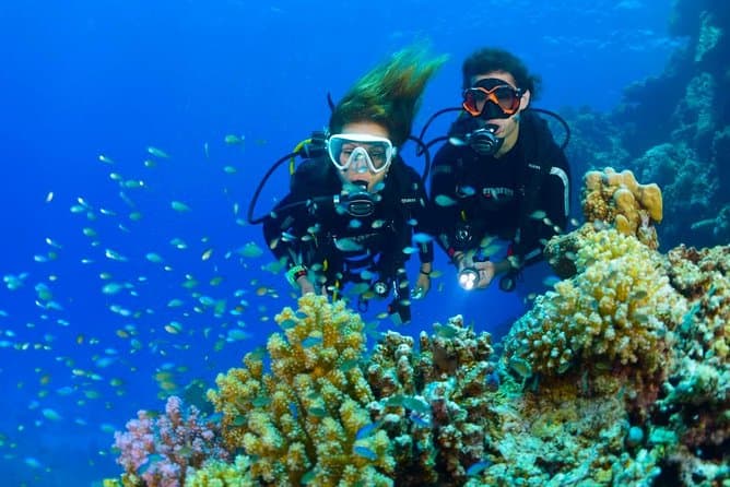 Explore USAT Liberty Shipwreck Tours Near Ubud