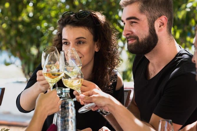 Best Peljesac Wine Tours from Dubrovnik