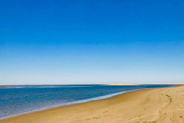 1 or 2 Hour Speed Boat Tour - Ria Formosa