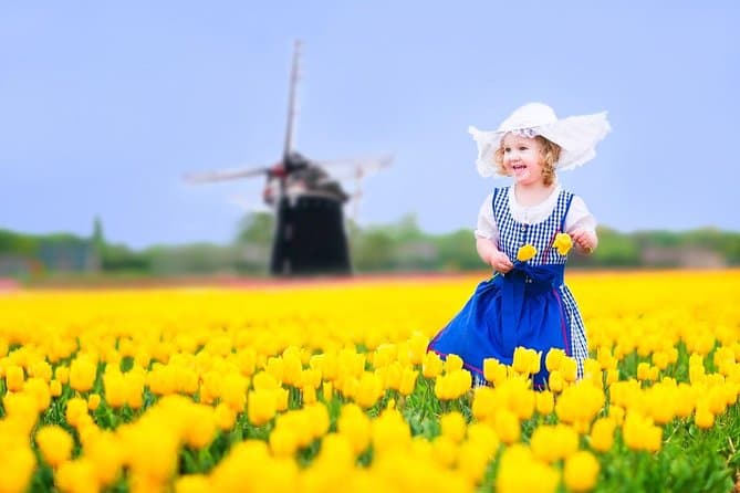 Best Keukenhof & Delft Tours from Brussels