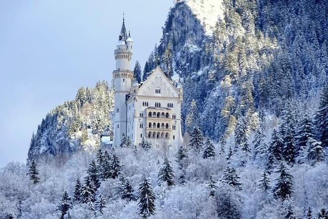 Neuschwanstein Castle incl. Munich Xmas Market walking tour