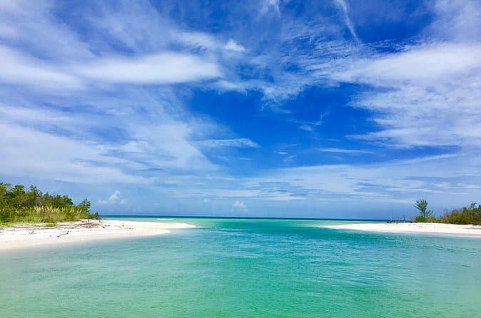 Best Dolphin & Eco Tours Naples