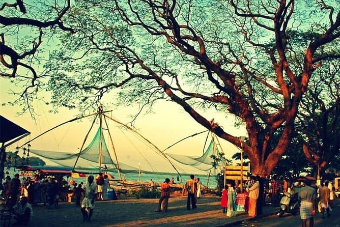 Best Kochi Shore Excursions & Local Kerala Tours