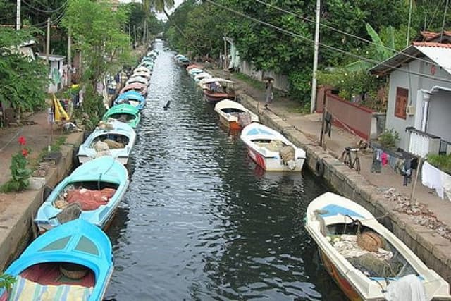 Shore Excursions Colombo Port Passenger Jetty to Negombo By Car