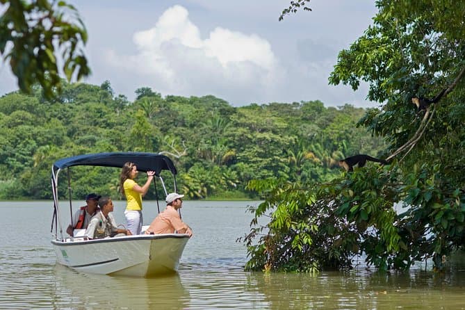 Top-Rated Gamboa Rainforest Experiences