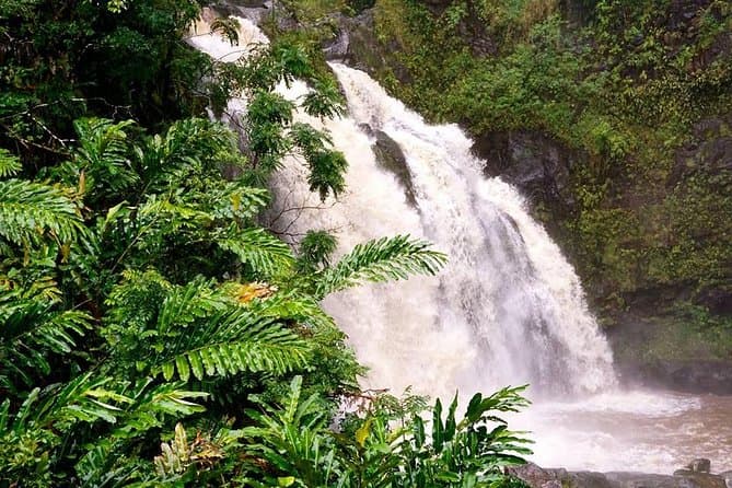 Best Halfway to Hana Tour: Maui's Hidden Paradise