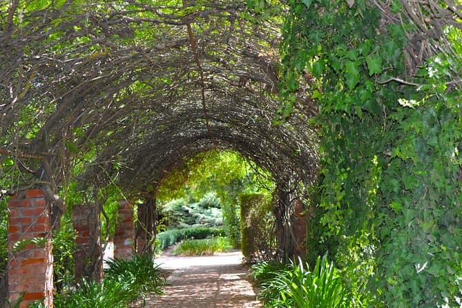 Barossa Valley Wine Tour: Adelaide to Tastings