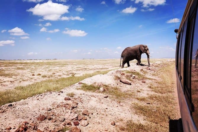 Amboseli National Park Safari