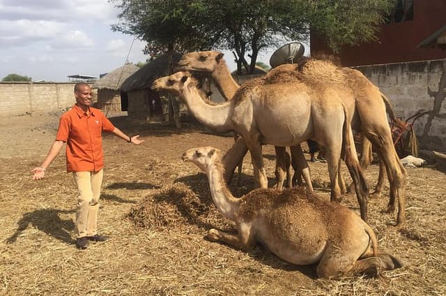 Arusha Snake Park, Camel Ride, Shanga & Arusha Cultural Heritage - Full Day Trip
