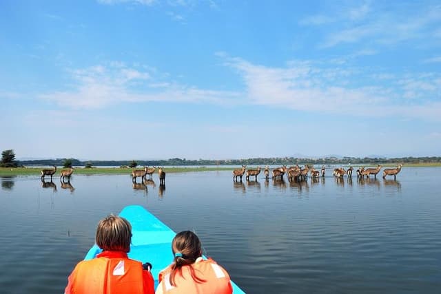 Day Trip To Lake Naivasha From Nairobi