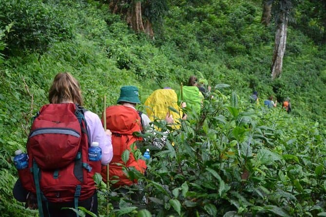 Best Chiang Dao Cave Trekking & Adventures in Chiang Mai
