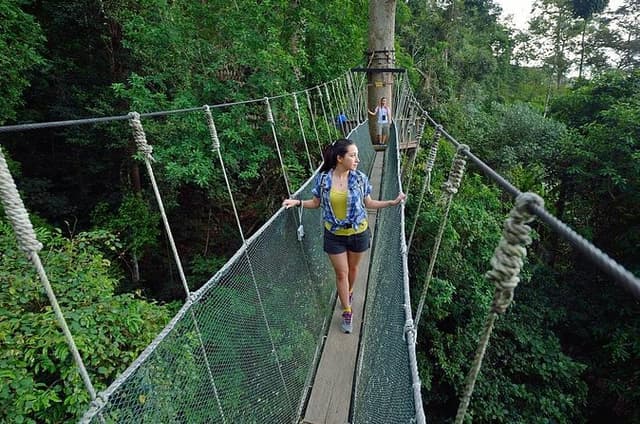 Kinabalu Park, Desa Dairy Farm & Poring Hot Springs Tour